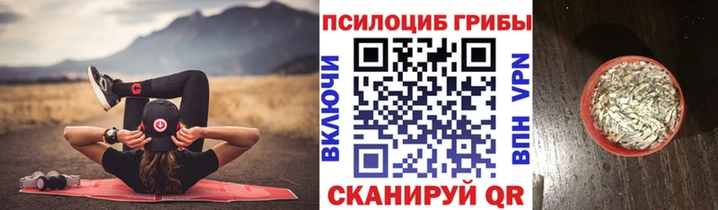 Галлюциногенные грибы мухоморы  сайты даркнета формула  Мезень  закладки 